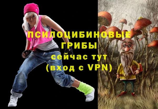 соль курить ск Алексеевка