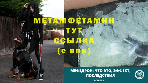 стаф Данков