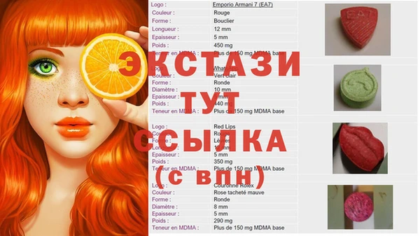 стаф Данков