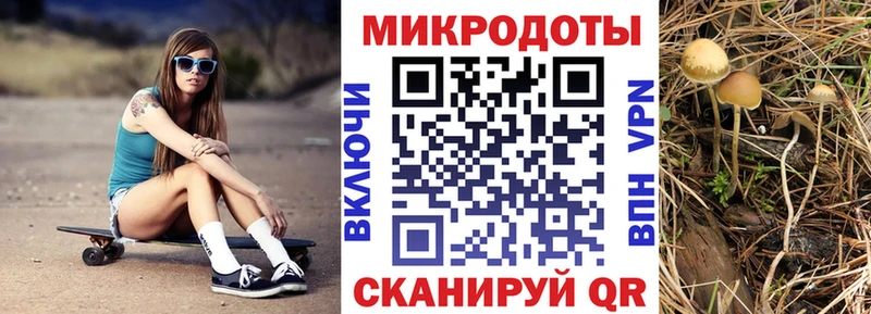 ОМГ ОМГ маркетплейс  Гаджиево  Псилоцибиновые грибы GOLDEN TEACHER 