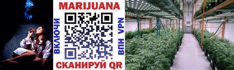 Конопля SATIVA & INDICA  цена   Гаджиево 
